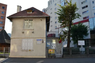 Casa memorială Nicu Enea, Bacău