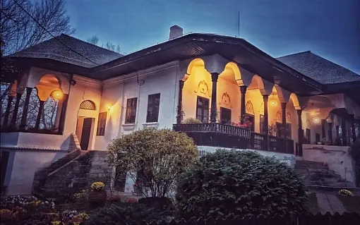 Vile și Case vechi din România