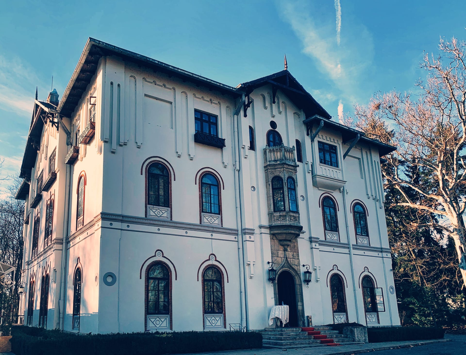 Palatul Barbu Știrbei, Buftea, Ilfov