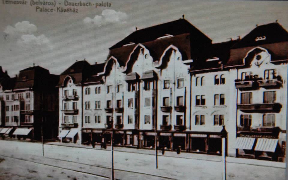 Palatul Dauerbach, Timișoara, Timiș