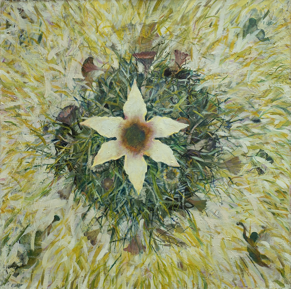 Florian LUCAN, pictor